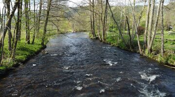 Ein Fluss im Ilzer Land